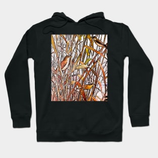 canary birds in the grass Hoodie
